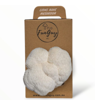 Funguy Lions Mane Mushroom Grow Kit Funguy Lions Mane Mushroom Grow Kit