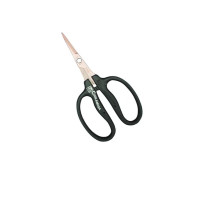 Chikamasa Scissors B-500SKF | Anti-Bacterial Blade | Non-Stick Fluorine Coating | Made in Japan