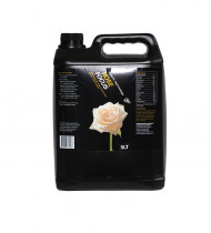 GT Rose Focus 5L Growth Technology GT Rose Focus 5L Growth Technology