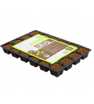 Eazy plug Tray of 24 Eazy plug Tray of 24