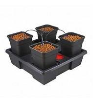 Wilma Kit - XL 4 x 18 LT Pots Wilma Kit - XL 4 x 18 LT Pots