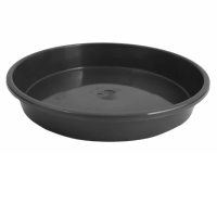 Saucer 200mm Saucer 200mm