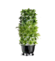 Hydroculture Jumbo– 48 Hole Tower Hydroculture Jumbo– 48 Hole Tower
