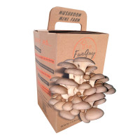 Funguy Blue Oyster Mushroom Funguy Blue Oyster Mushroom