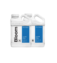 Athena Blended Bloom A+B 3.8LT Athena Blended Bloom A+B 3.8LT
