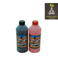 DutchFest Bloom 1 LT A+B Set