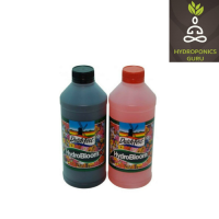 DutchFest Bloom 1 LT A+B Set