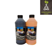  DutchFest Coco  1 LT A+B Set