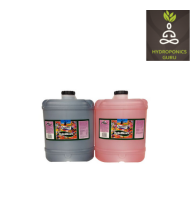 DutchFest Bloom 20 LT A+B Set