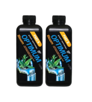 GT Optimum Bloom A+B 1 LT Growth Technology 