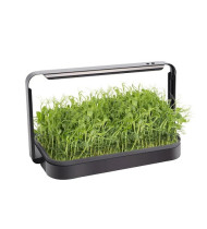 Hydroponic Indoor Grow System for microgreens Hydroponic Indoor Grow System for microgreens