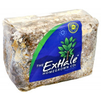 The Exhale Homegrown CO2 For Grow Tent | 4x4 Foot Green House