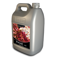 Cyco Platinum Series Potash Plus 5 LT | Prevent Wilting Cyco Platinum Series Potash Plus 5 LT | Prevent Wilting